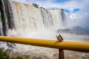 iguazu-2773770_1280